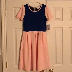 Lulatoe Medium Amelia Color bLock NWT pink blue